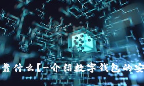 数字钱包打开依靠什么？-介绍数字钱包的安全性与打开方法