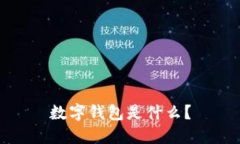 数字钱包是什么？