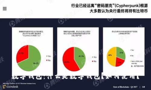 数字钱包：什么是数字钱包？如何使用？