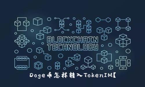 Doge币怎样转入TokenIM？