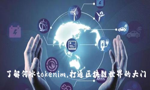 了解何冰tokenim，打通区块链世界的大门