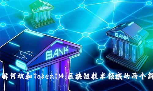 了解何斌和TokenIM：区块链技术领域的两个新贵