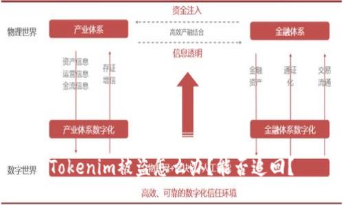 Tokenim被盗怎么办？能否追回？