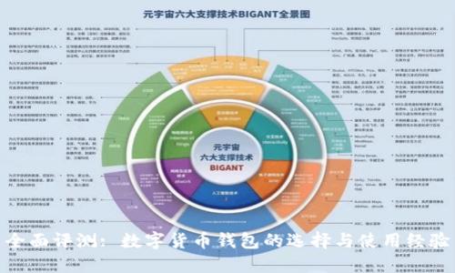 全面评测: 数字货币钱包的选择与使用经验