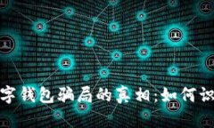 : 揭开数字钱包骗局的真相