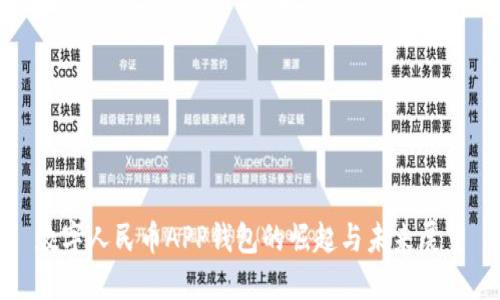 数字人民币APP钱包的崛起与未来展望