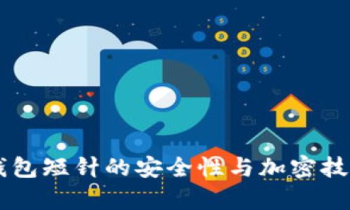 币种钱包短针的安全性与加密技术分析