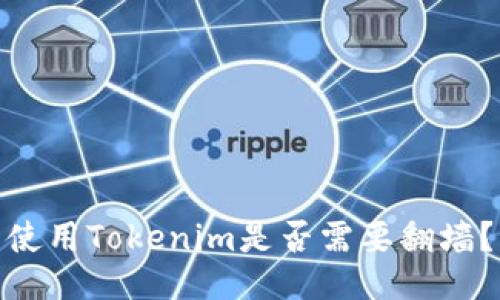 使用Tokenim是否需要翻墙？