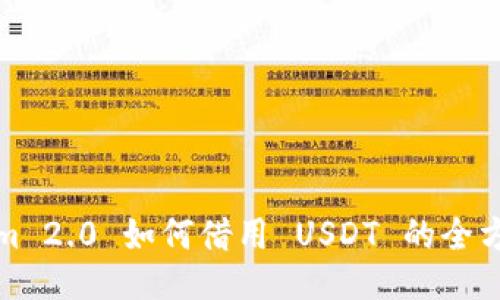 Tokenim 2.0 如何借用 USDT 的全方位指南