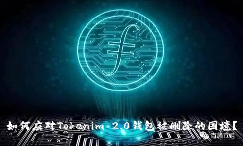如何应对Tokenim 2.0钱包被删除的困境？