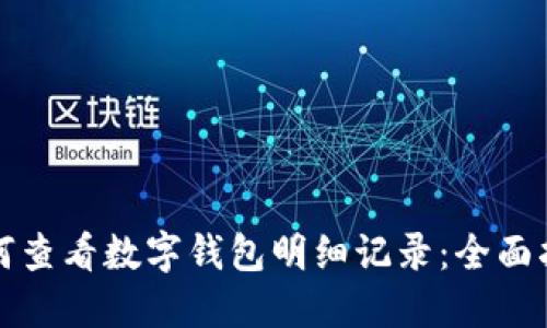 如何查看数字钱包明细记录：全面指南