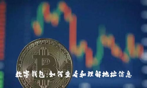 数字钱包：如何查看和理解地址信息