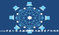 Tokenim开发公司：区块链技术与数字资产的创新先