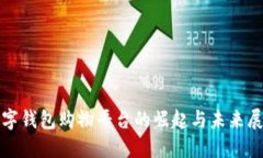 数字钱包购物平台的崛起与未来展望