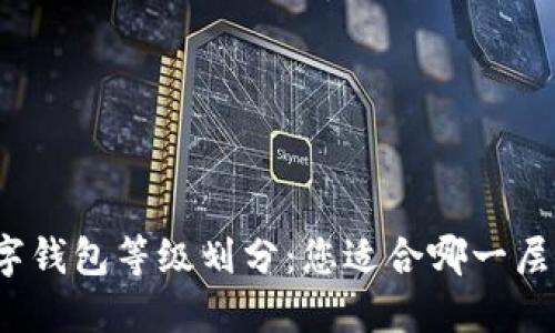 数字钱包等级划分：您适合哪一层级？