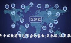 揭开全球数字钱包背后的真相：是机遇，还是骗