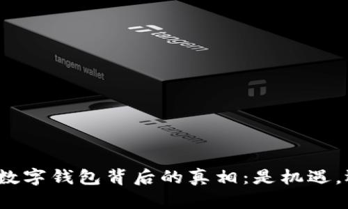 揭开全球数字钱包背后的真相：是机遇，还是骗局？