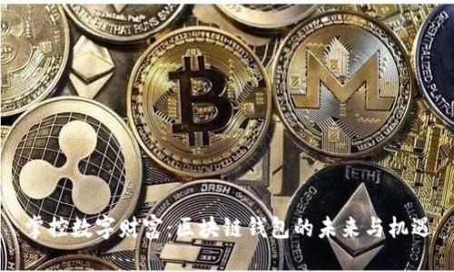 掌控数字财富：区块链钱包的未来与机遇