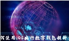 掌握未来：如何使用iOS央行数字钱包提升你的生